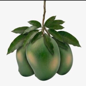 আম্রপালি আম(Amrapali Mango)