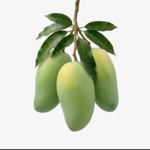 ল্যাংড়া আম (Langra Mango)