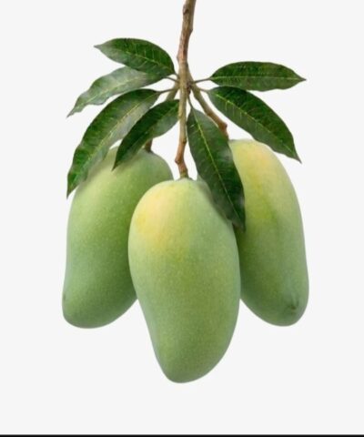 ল্যাংড়া আম (Langra Mango)