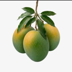 হাঁড়িভাঙা আম (Haribhanga Mango)