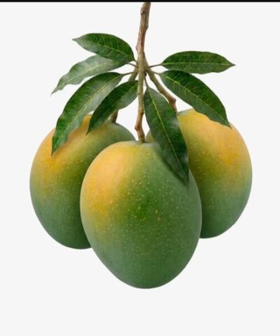 হাঁড়িভাঙা আম (Haribhanga Mango)
