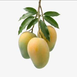 হিমসাগর আম (Himsagar Mango)